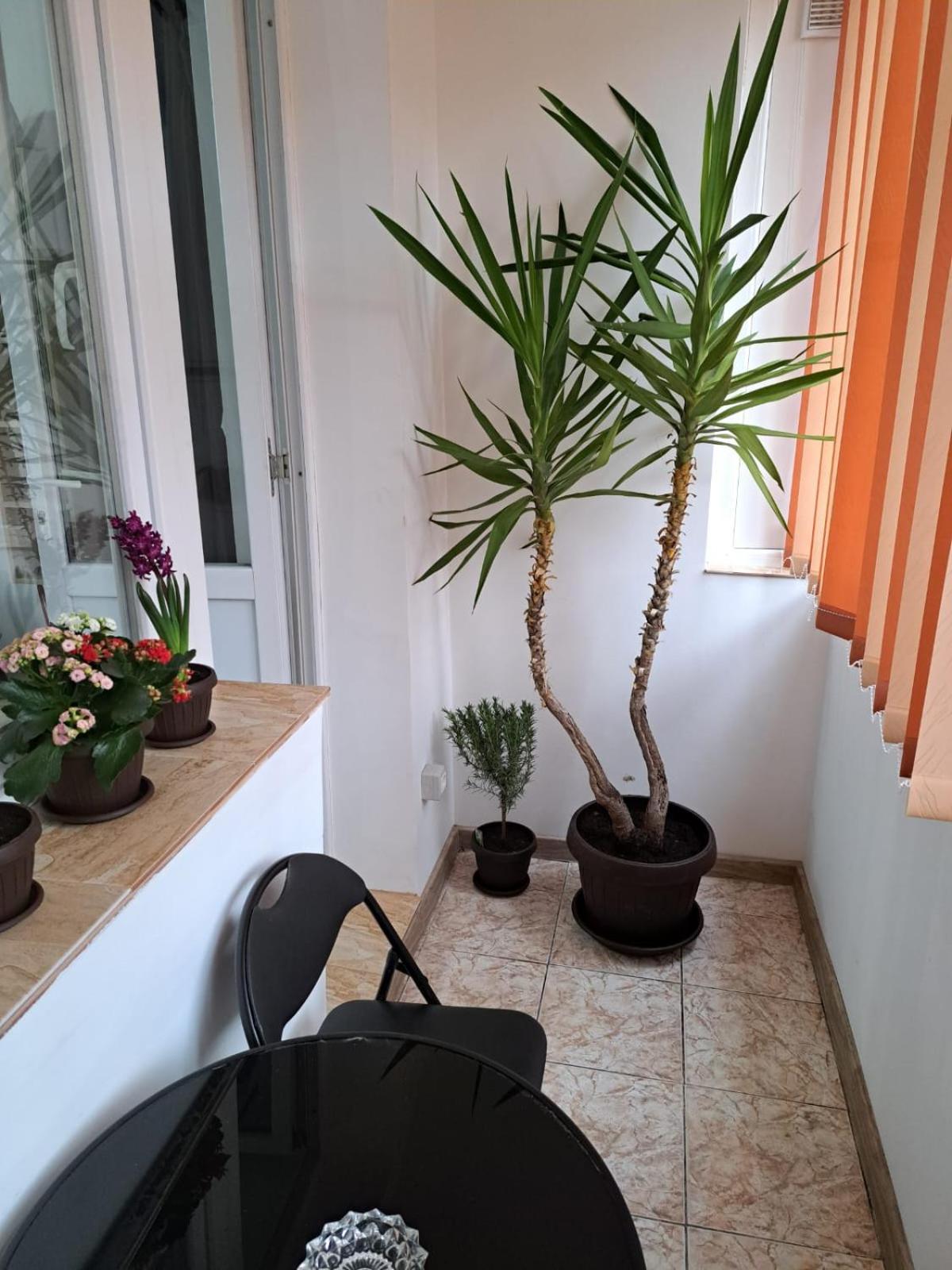 Mia Apartments Κραϊόβα Εξωτερικό φωτογραφία